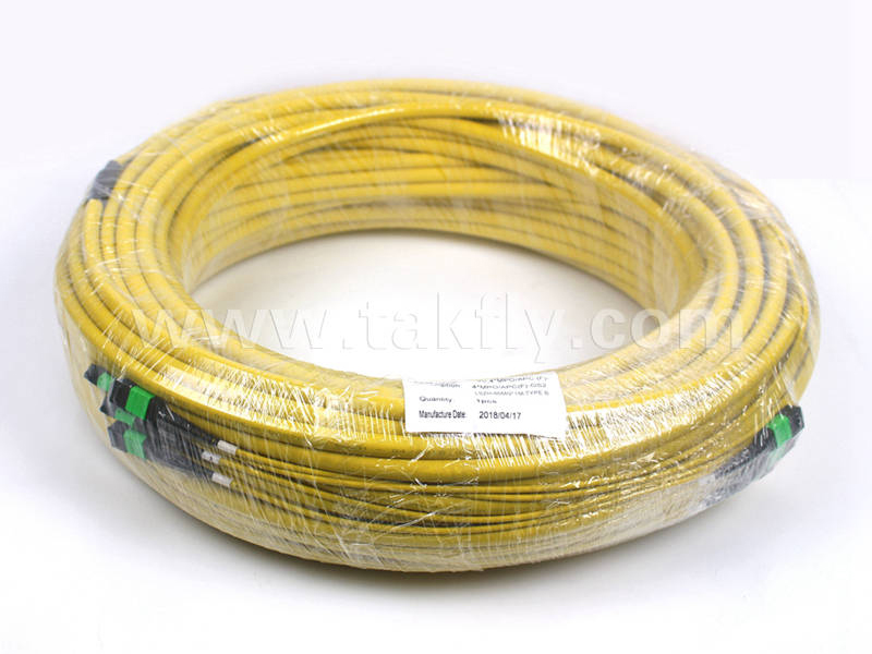 48Fiber Mini Calbe MPO MTP跳线